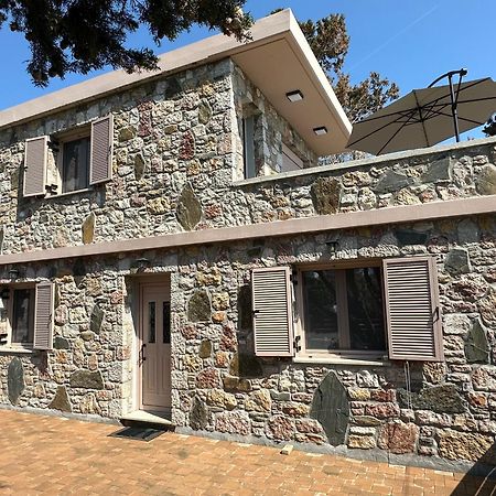 Anemos Villa Stegna 阿彻奇洛斯 外观 照片